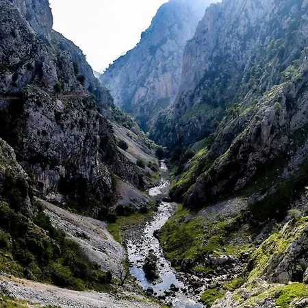Trascorrales Senda Del Oso