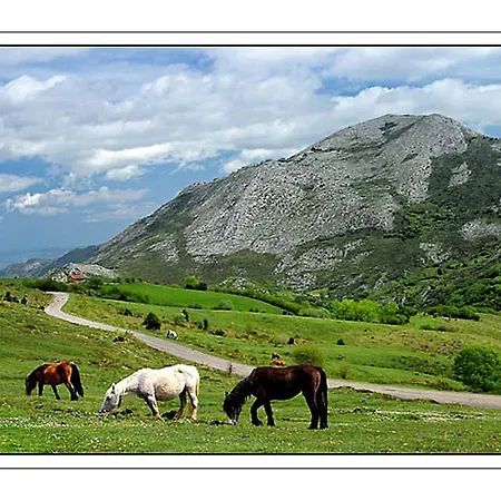 Trascorrales Senda Del Oso Apartmán San Martin (Asturias)